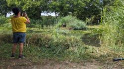 10-PXL_20250711_101425437